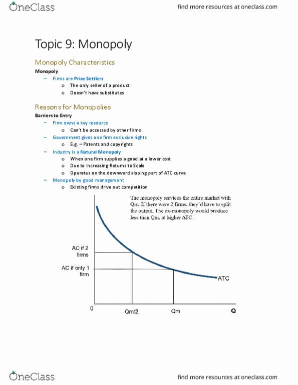 ECON 1B03 Lecture Notes - Lecture 9: Demand Curve, Market Segmentation thumbnail