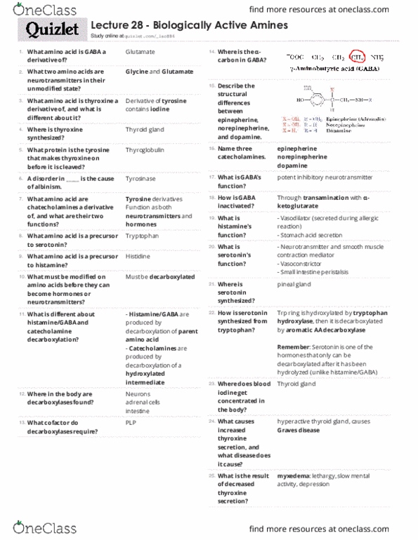 BIOC 3300 Lecture Notes - Lecture 28: Tyrosine Hydroxylase, Thyroid, Pineal Gland thumbnail