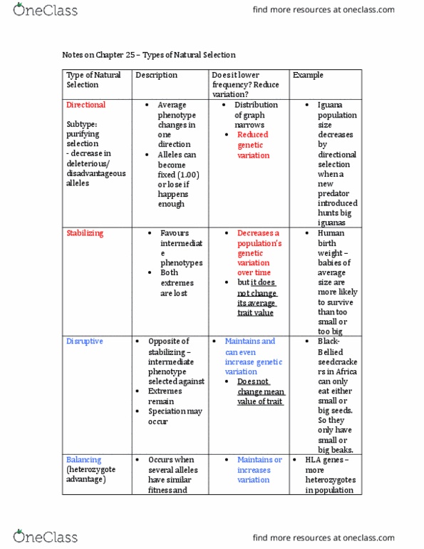 BIOLOGY 1M03 Chapter Notes - Chapter 25: Allele Frequency, Zygosity, Speciation thumbnail