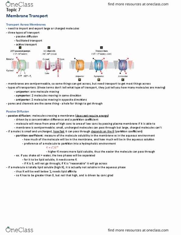 Biology 2382B Lecture Notes - Lecture 7: Glucose Transporter, Partition Coefficient, Uniporter thumbnail