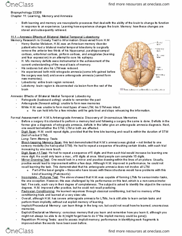 Psychology 2220A/B Chapter Notes - Chapter 11: Temporal Lobe, Anterograde Amnesia, Retrograde Amnesia thumbnail