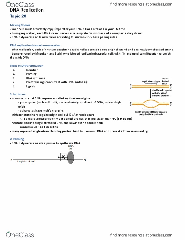 Biochemistry 2280A Lecture Notes - Lecture 20: Lig4, Okazaki Fragments, Helicase thumbnail