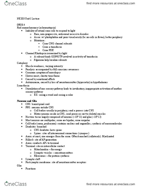 CAS NE 203 Lecture Notes - Lecture 2: Voltage Clamp, Resting Potential, Neurotransmitter Receptor thumbnail