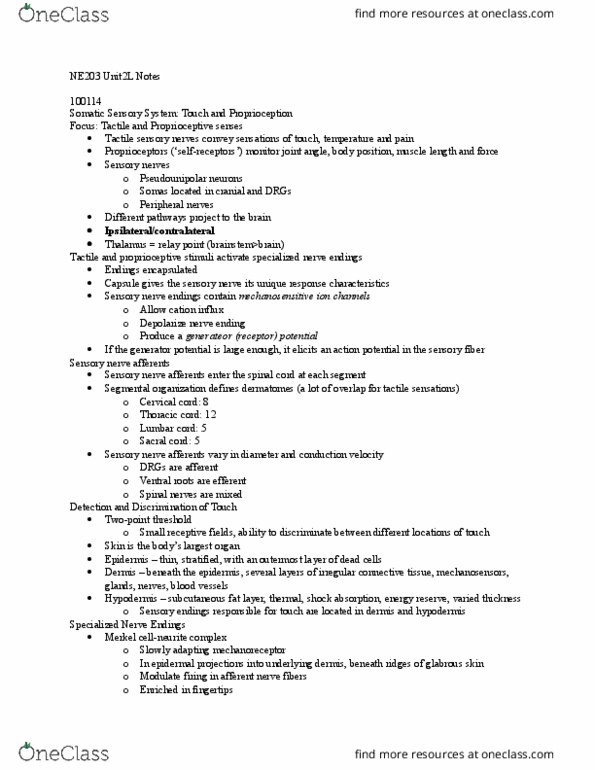 CAS NE 203 Lecture Notes - Lecture 4: Ventral Posterior Nucleus, Lamellar Corpuscle, Afferent Nerve Fiber thumbnail