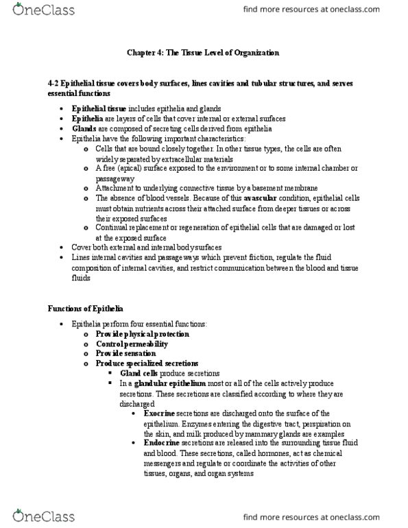 ANAT 101 Chapter Notes - Chapter 4: Epithelium, Tight Junction, Gap Junction thumbnail