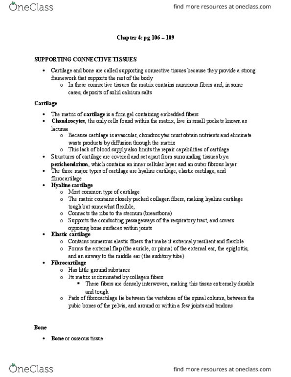 ANAT 101 Chapter Notes - Chapter 4,6: Bone Marrow, Haversian Canal, Elastic Cartilage thumbnail