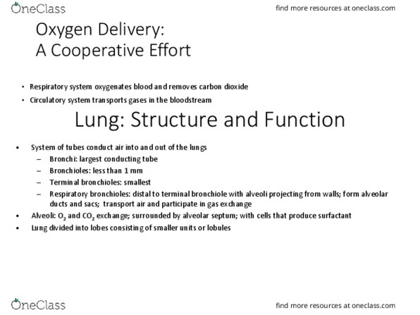 HSC 4624 Lecture Notes - Lecture 2: Pneumocystis Jirovecii, Airway Obstruction, Atypical Pneumonia thumbnail