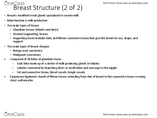 HSC 4624 Lecture Notes - Lecture 3: Axillary Lymph Nodes, Ovarian Tumor, Lymph Node thumbnail