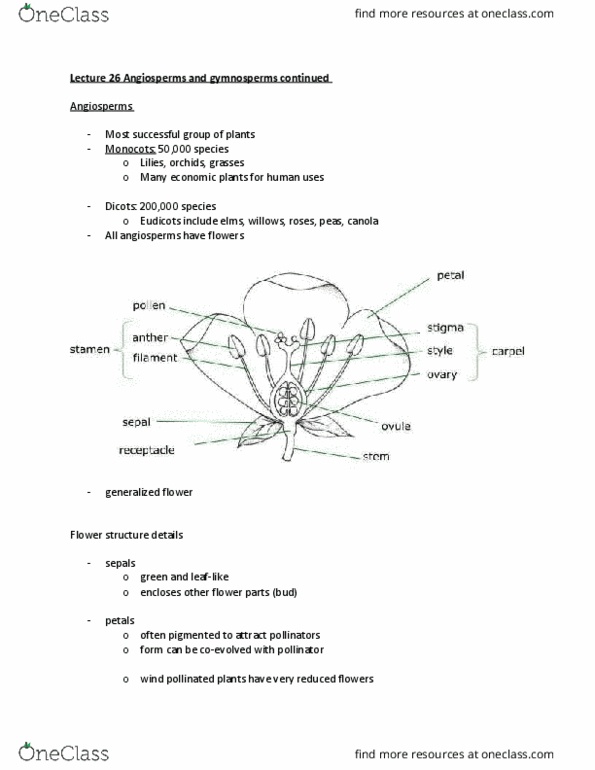 BIOL 1030 Lecture Notes - Lecture 26: Flower Flower, Pollen Tube, Double Fertilization thumbnail