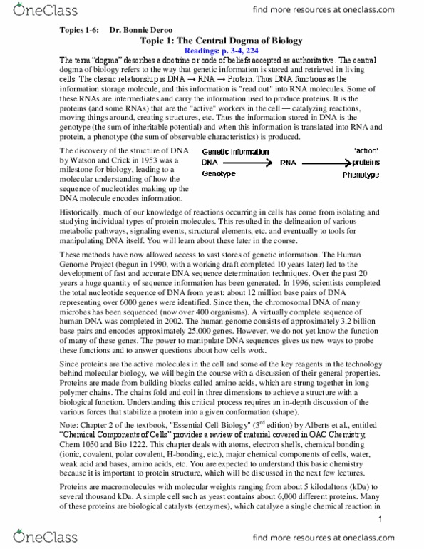 Biochemistry 2280A Lecture Notes - Lecture 1: Protein Domain, Amine, Peptide thumbnail