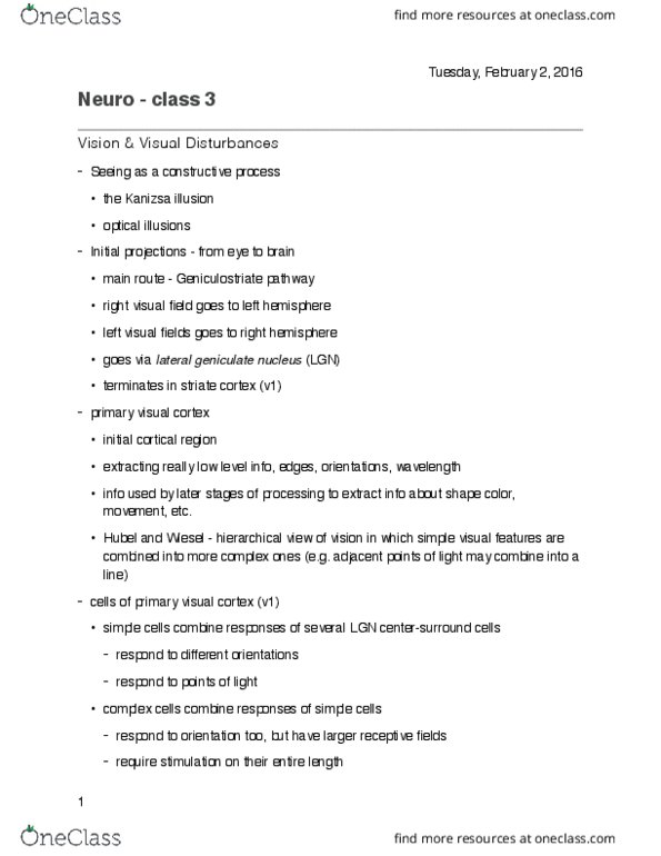 01:830:401 Lecture Notes - Lecture 3: Visual Cortex, Lateral Geniculate Nucleus, Color Constancy thumbnail