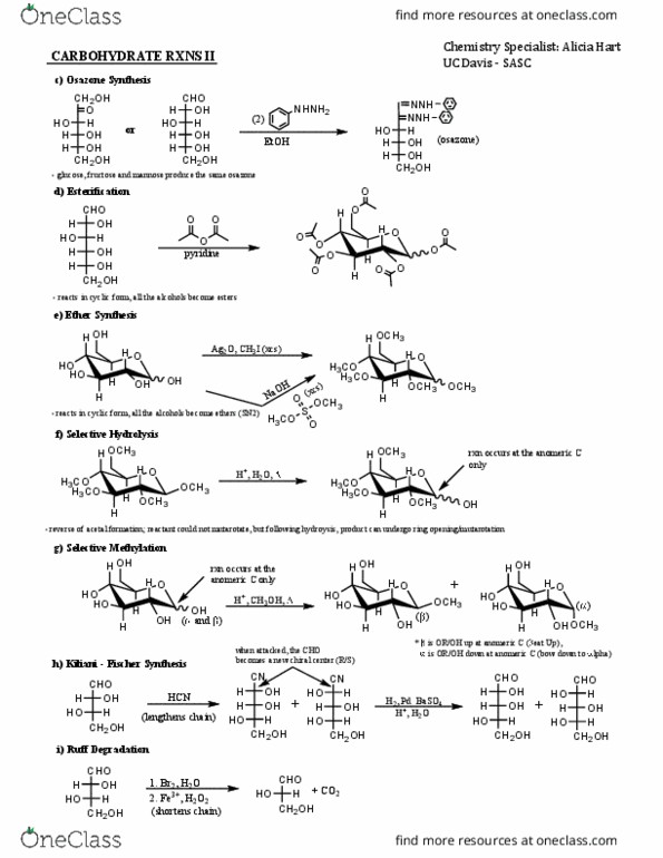 CHE 118A Lecture Notes - Lecture 6: Mannose, Hydrolysis, Methylation thumbnail