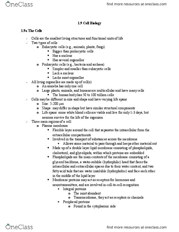 ZOO 3733C Chapter Notes - Chapter 1: Serous Membrane, Protein Production, Pinocytosis thumbnail