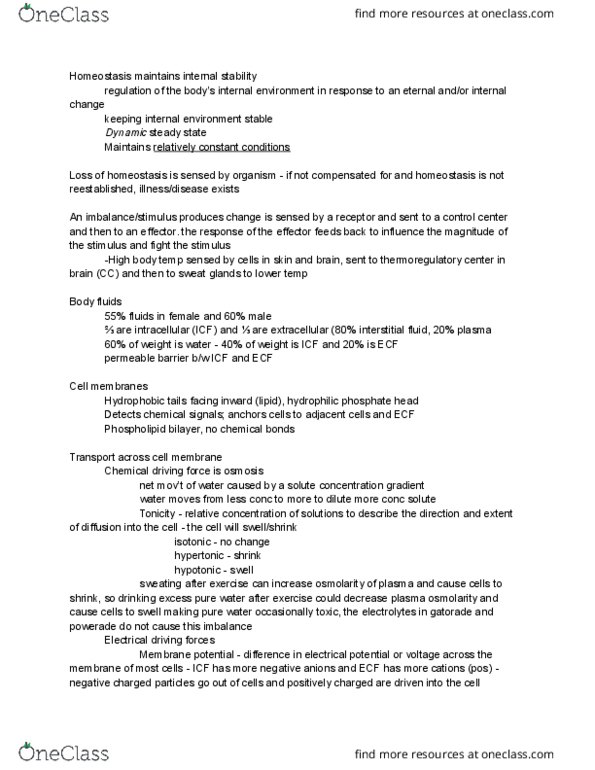 BMED 3100 Lecture Notes - Lecture 3: Thalamus, Basal Ganglia, Cardiomegaly thumbnail