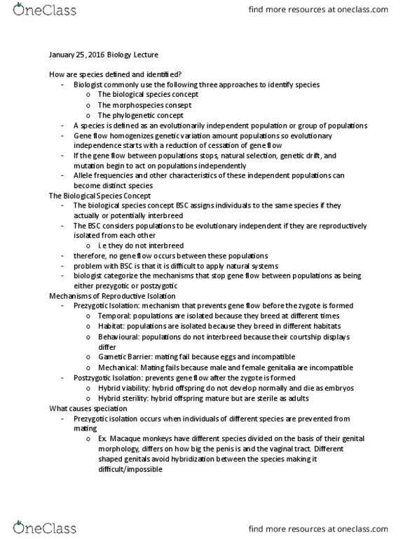 BIOLOGY 1M03 Lecture Notes - Lecture 5: Pipidae, Dusky Seaside Sparrow, Genetic Drift thumbnail