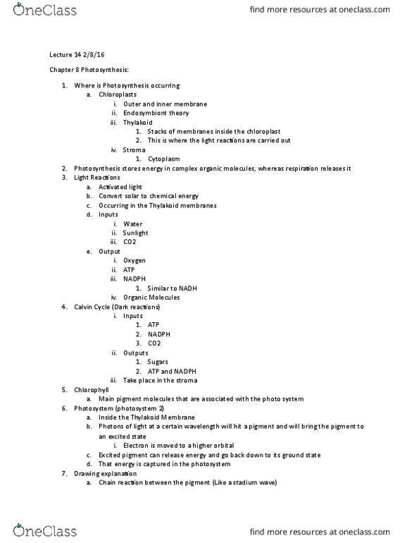 BILD 1 Lecture Notes - Lecture 14: Chloroplast, Photodissociation, Cytoplasm thumbnail