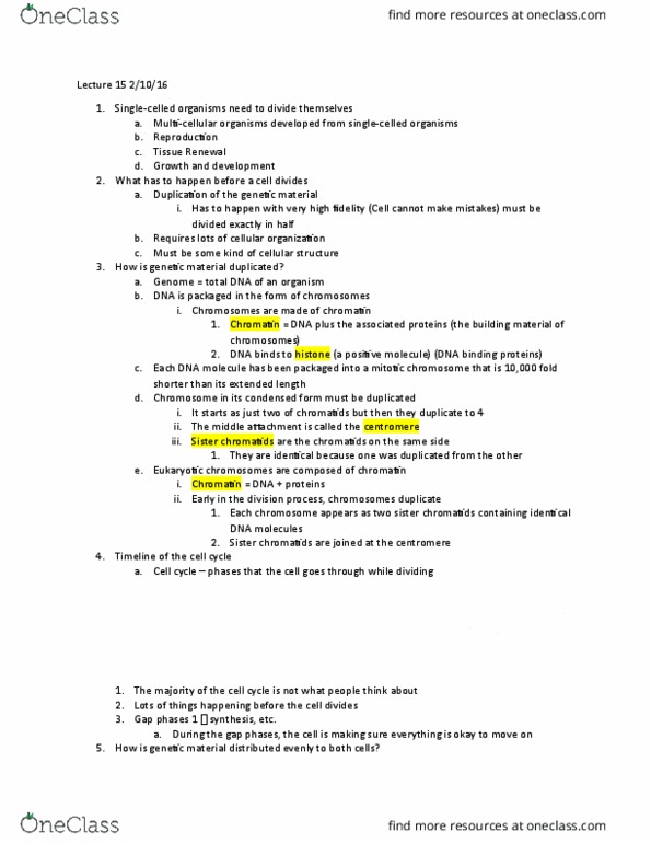 BILD 1 Lecture Notes - Lecture 15: Myosin, Chromatin, Chromosome thumbnail