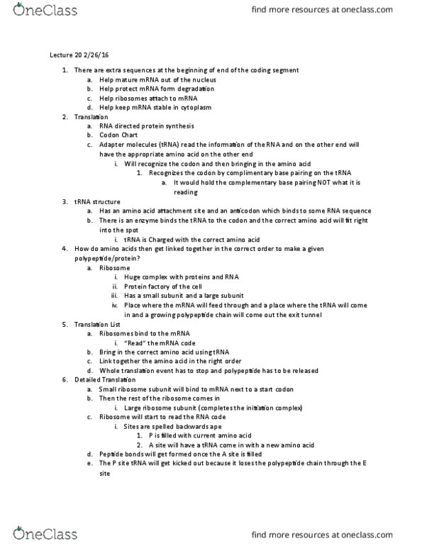 BILD 1 Lecture Notes - Lecture 20: Peptide, Start Codon, Ribosome thumbnail