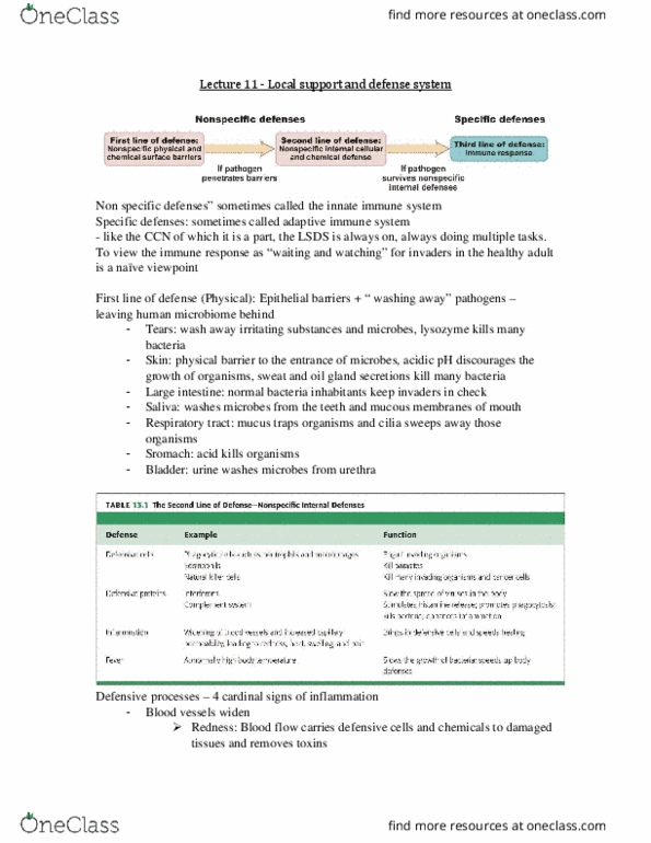 BIOL 1080 Lecture Notes - Lecture 11: Adaptive Immune System, Macrophage, Steatosis thumbnail