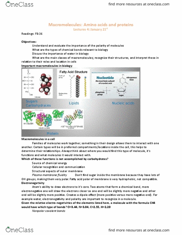 BIO 1140 Lecture Notes - Lecture 4: Covalent Bond, Chemical Bond thumbnail