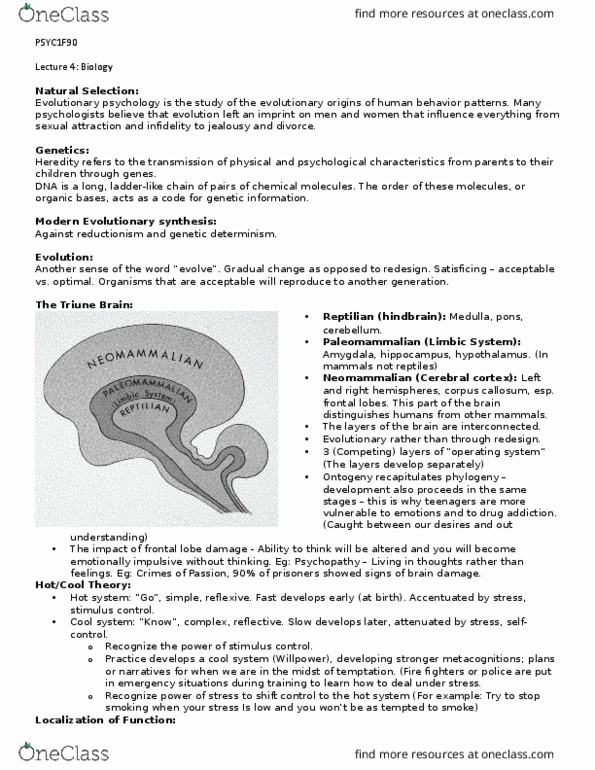 PSYC 1F90 Lecture Notes - Lecture 4: Blood Vessel, Microelectrode, Evoked Potential thumbnail