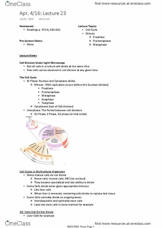BIO130H1 Lecture Notes - Lecture 23: Spindle Apparatus, G2 Phase, Metaphase thumbnail