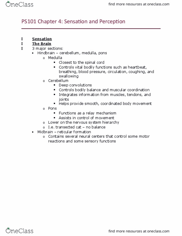 PS101 Lecture Notes - Lecture 4: Auditory Cortex, Visual Cortex, Cerebral Cortex thumbnail