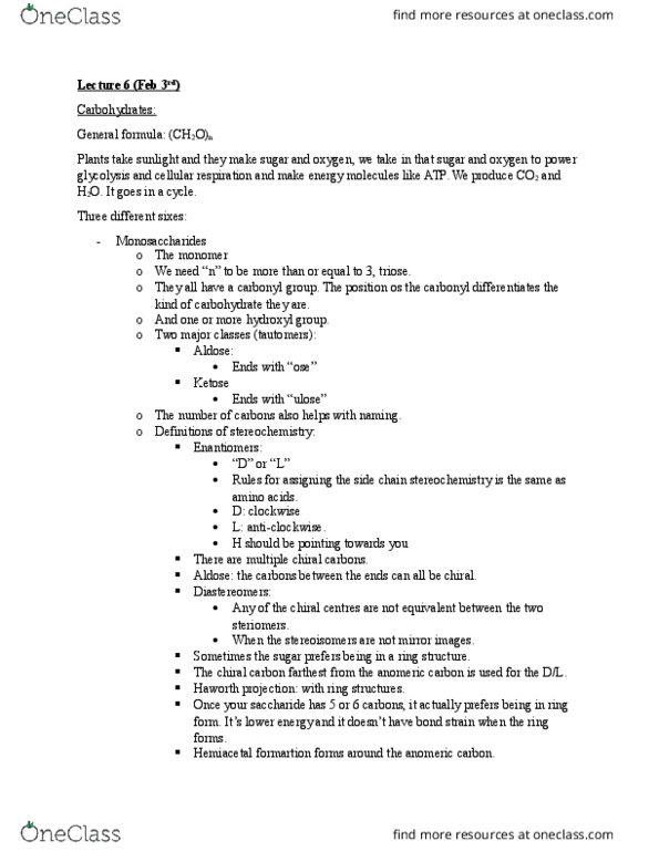 BCH 2333 Lecture Notes - Lecture 6: Anomer, Haworth Projection, Glycosidic Bond thumbnail