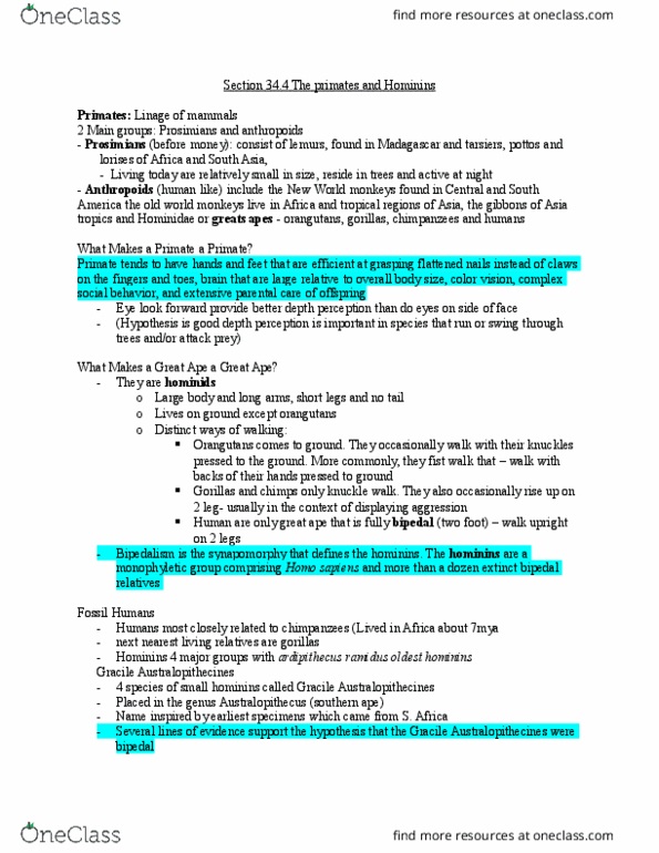 BISC 102 Chapter Notes - Chapter 34.4: Archaic Humans, Hominidae, Australopithecine thumbnail