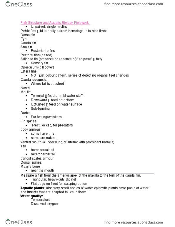 REN R205 Lecture Notes - Lecture 7: Latera, Maxilla, Oxygen Saturation thumbnail