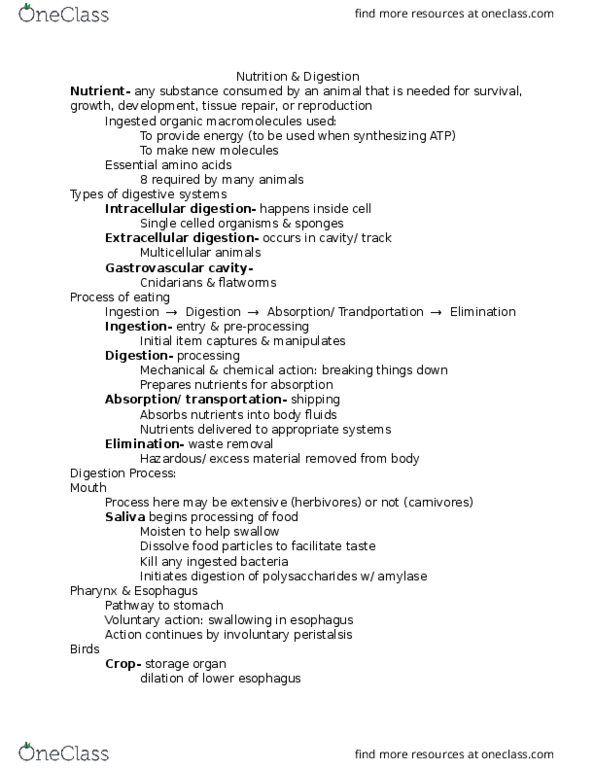 BIO 126 Lecture Notes - Lecture 4: Gastrovascular Cavity, Storage Organ, Esophagus thumbnail