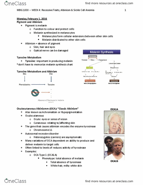 MBG 1000 Lecture 4: Week 4 - Recessive Traits, Albinism & Sickle Cell Anemia thumbnail