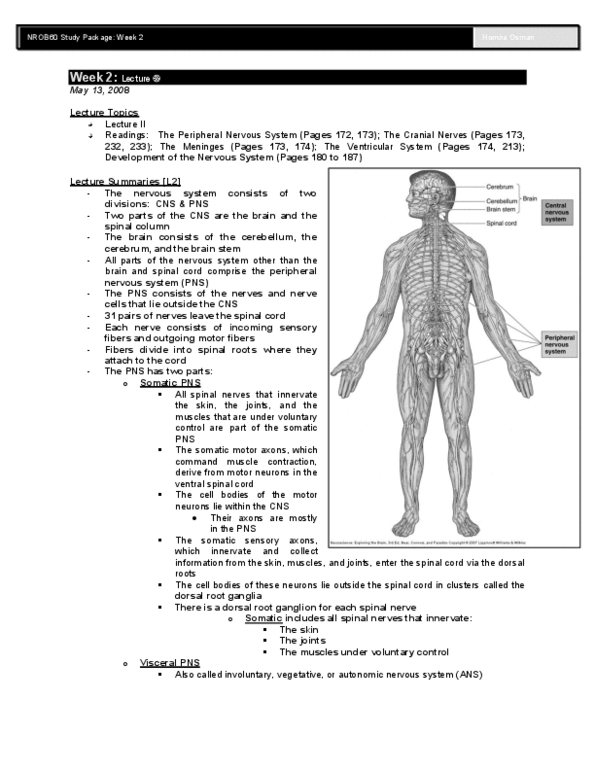 BIO403H5 Lecture Notes - Dorsal Root Ganglion, Peripheral Nervous System, Spinal Nerve thumbnail