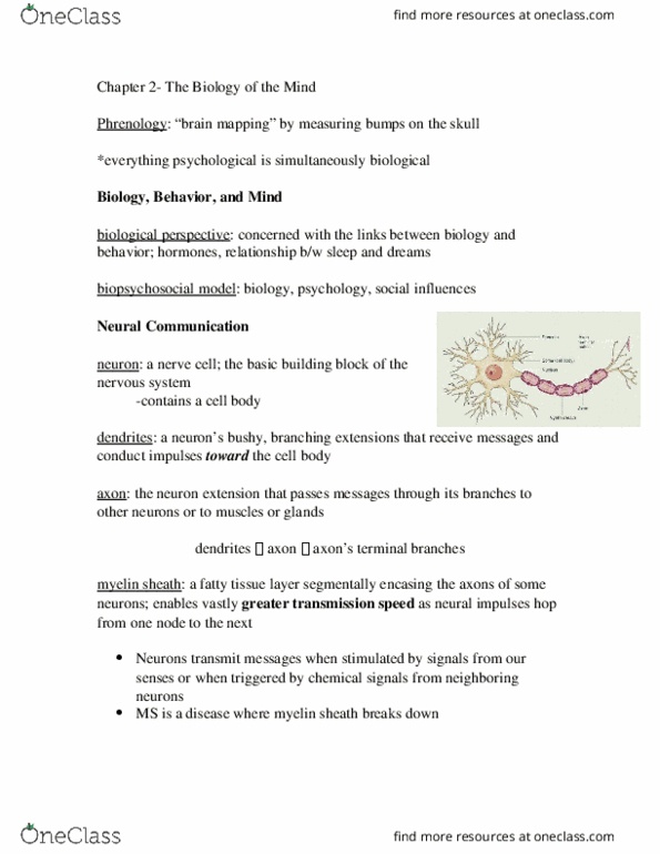 PSYC100 Lecture Notes - Lecture 2: Peripheral Nervous System, Autonomic Nervous System, Somatic Nervous System thumbnail