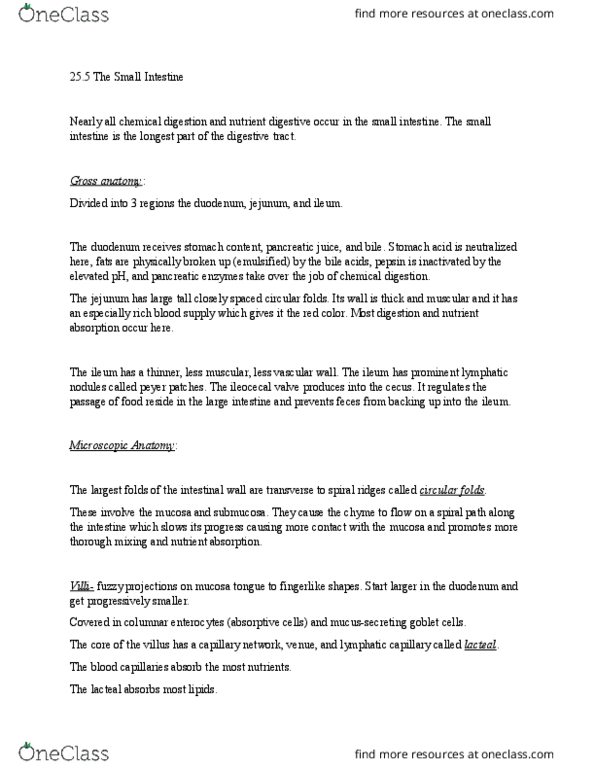 KINS 1224 Chapter Notes - Chapter 25: The Fluid, Muscular Layer, Migrating Motor Complex thumbnail