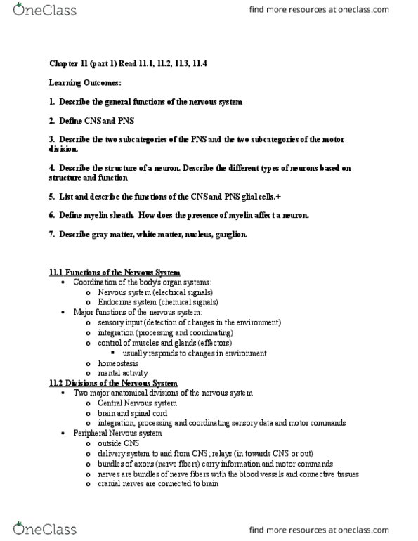 BSC 251 Lecture Notes - Lecture 1: Nerve Tract, Schwann Cell, Myosatellite Cell thumbnail