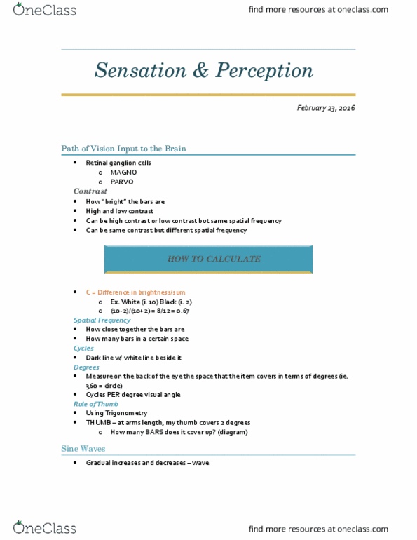 PSYC 2390 Lecture Notes - Lecture 11: Akinetopsia, Branch Point, Mesopic Vision thumbnail