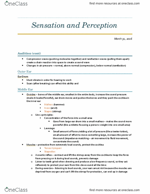 PSYC 2390 Lecture Notes - Lecture 21: Oval Window, Perilymph, Impedance Matching thumbnail