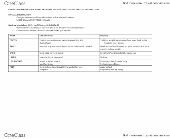 ANT 131 Lecture Notes - Lecture 13: Brain Size, Paranthropus Aethiopicus, Homo Erectus thumbnail