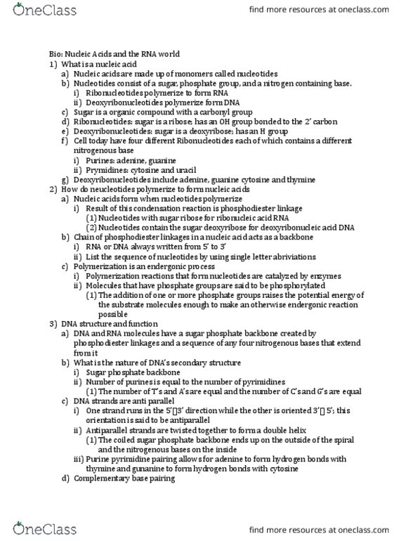 BIOL 118 Chapter Notes - Chapter 4: Fokker E.Ii, Polymerization, Nitrogenous Base thumbnail