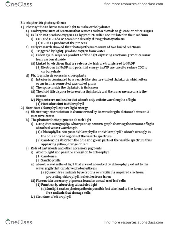 BIOL 118 Chapter Notes - Chapter 10: Carbon Fixation, P680, Leaf thumbnail