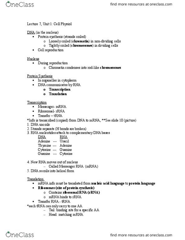 KAAP220 Lecture Notes - Lecture 7: Exocytosis, Hydrostatics, Active Transport thumbnail