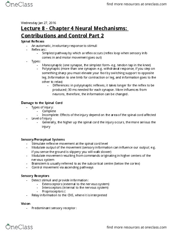 KP161 Lecture Notes - Lecture 8: Optic Nerve, Retina, Visual Cortex thumbnail