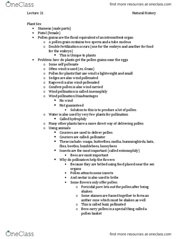 BIOL 1902 Lecture Notes - Lecture 21: Sequential Hermaphroditism, Pontederia, Lythrum Salicaria thumbnail