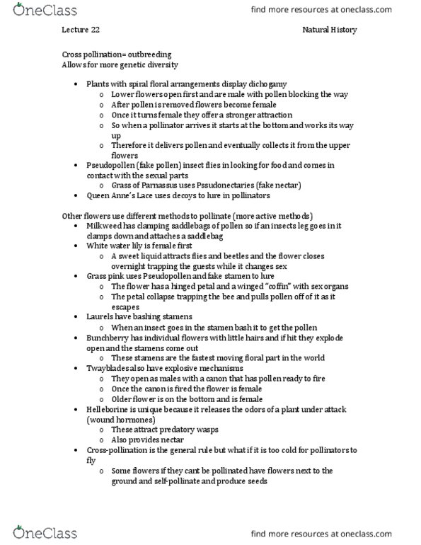 BIOL 1902 Lecture Notes - Lecture 22: Hitchhiking, Umbel, Tiarella thumbnail