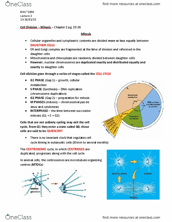 BIOL 1090 Lecture Notes - Lecture 2: Nucleolus, Cell Plate, Nuclear Membrane thumbnail