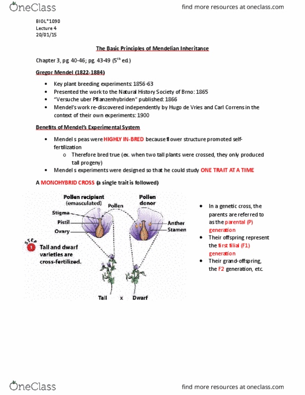 BIOL 1090 Lecture Notes - Lecture 4: Zygosity, Chromosome, Hugo De Vries thumbnail