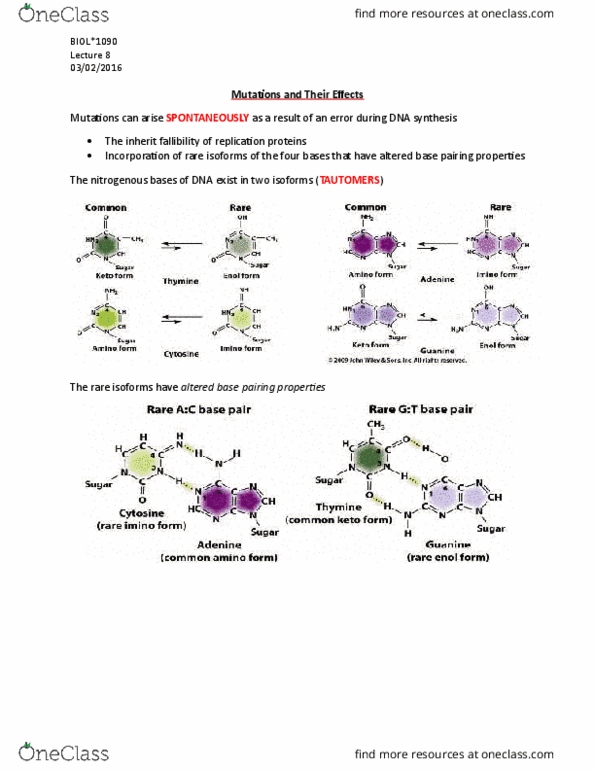 BIOL 1090 Lecture Notes - Lecture 8: Start Codon, Zinc Finger, Hbb thumbnail