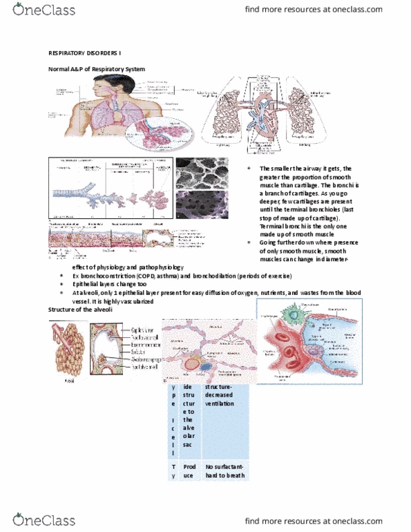 NURS 2820U Lecture Notes - Lecture 6: Rhinorrhea, Vascular Resistance, Coronary Artery Disease thumbnail