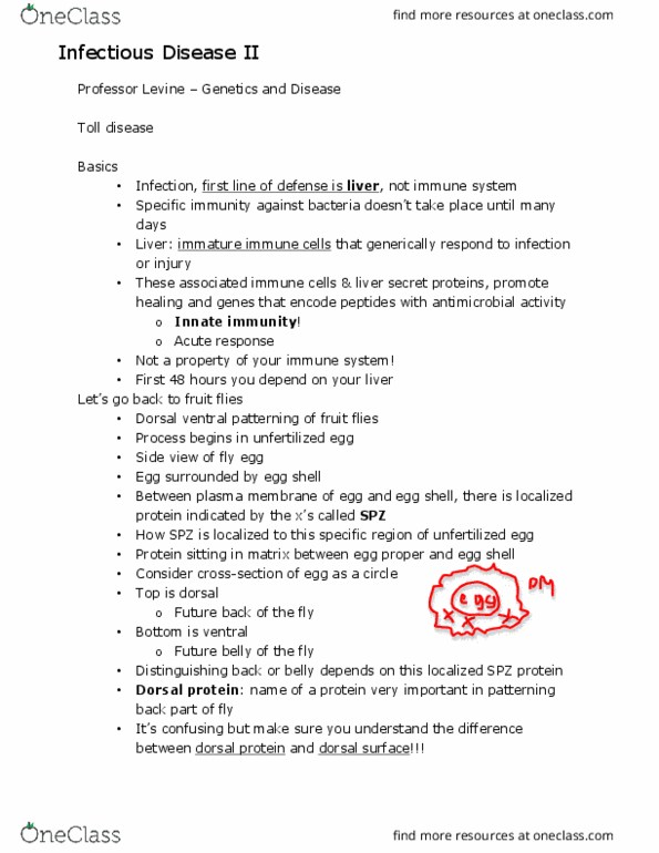 MCELLBI 104 Lecture Notes - Lecture 33: Snai1, Mendelian Inheritance, Sequence Motif thumbnail